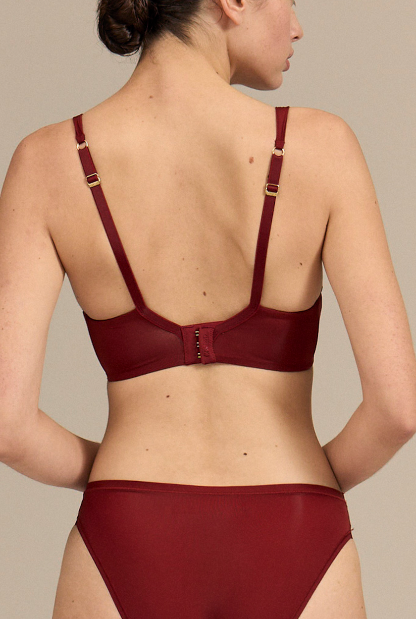 Le Original - Wine in the Library