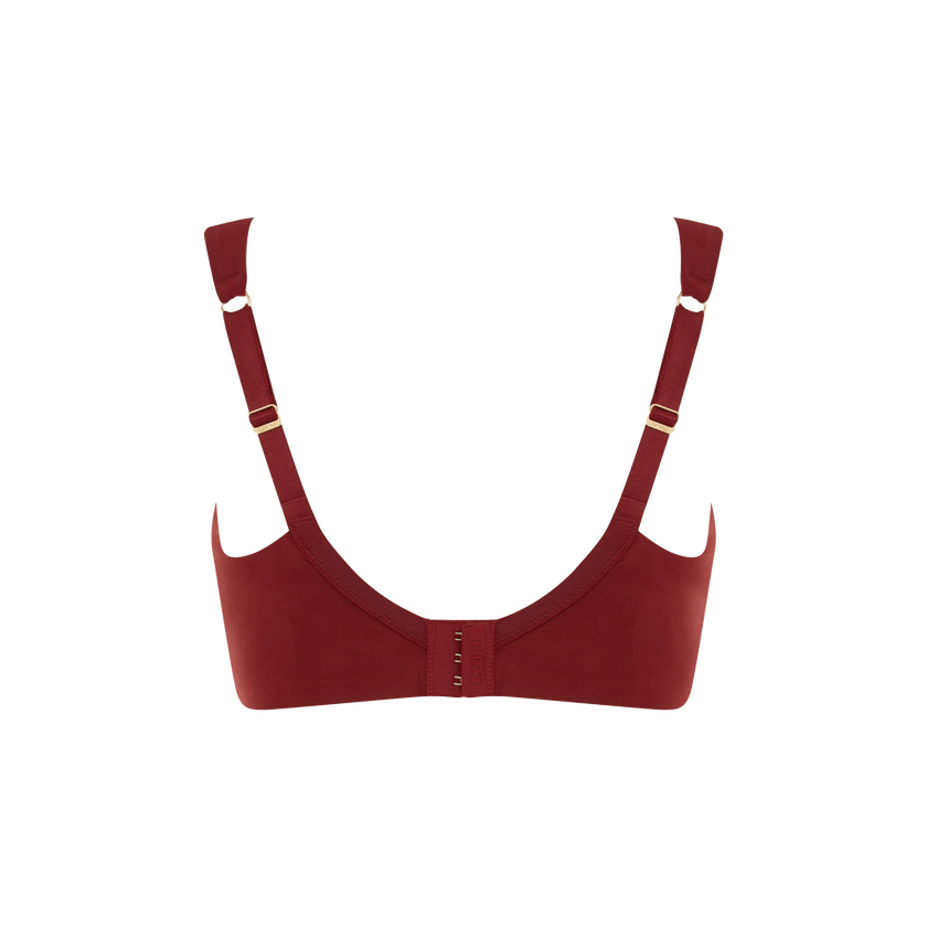 ARCHIVE: Le Curve V1 - Wine in the library